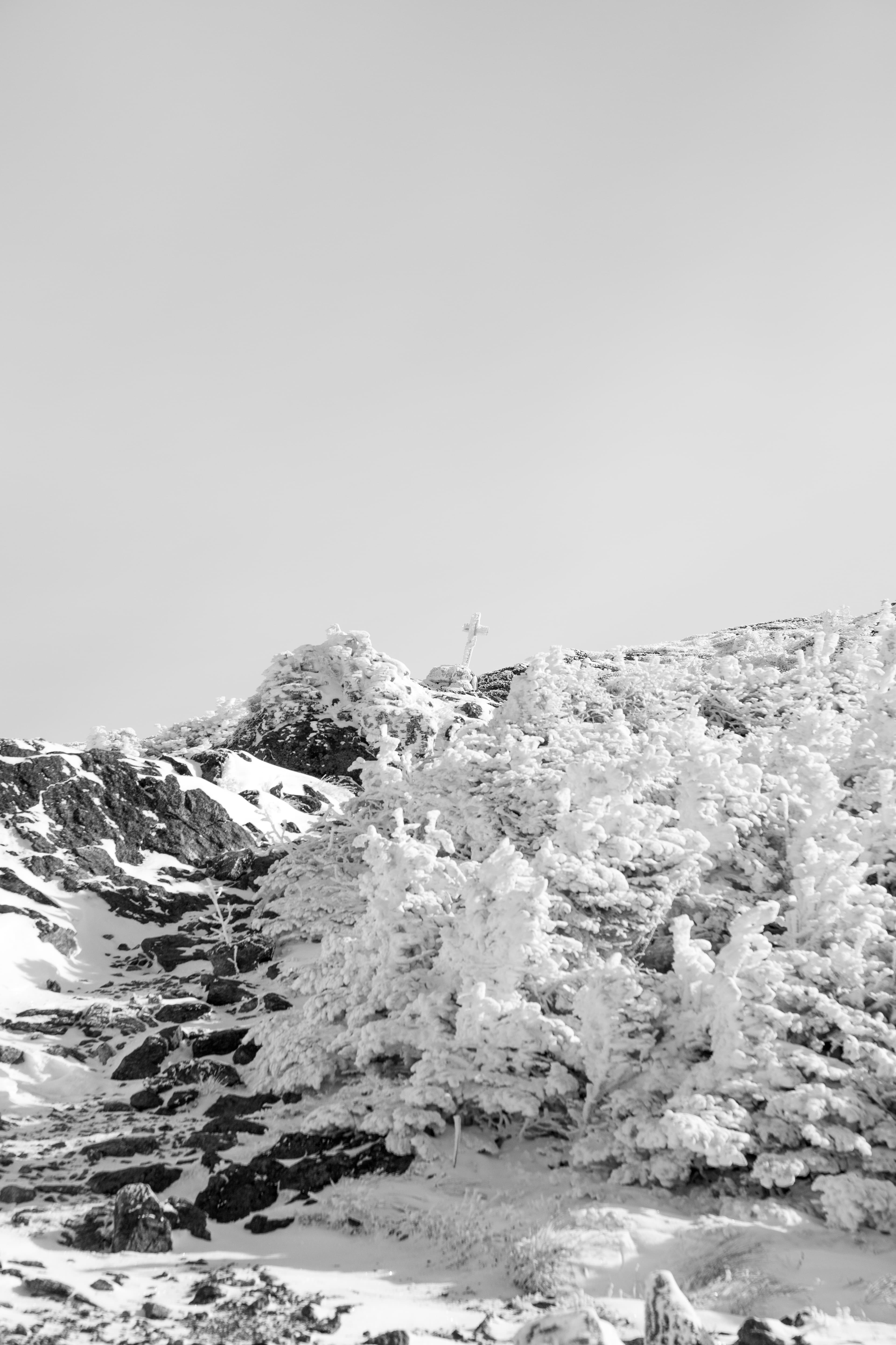 Trail 11
