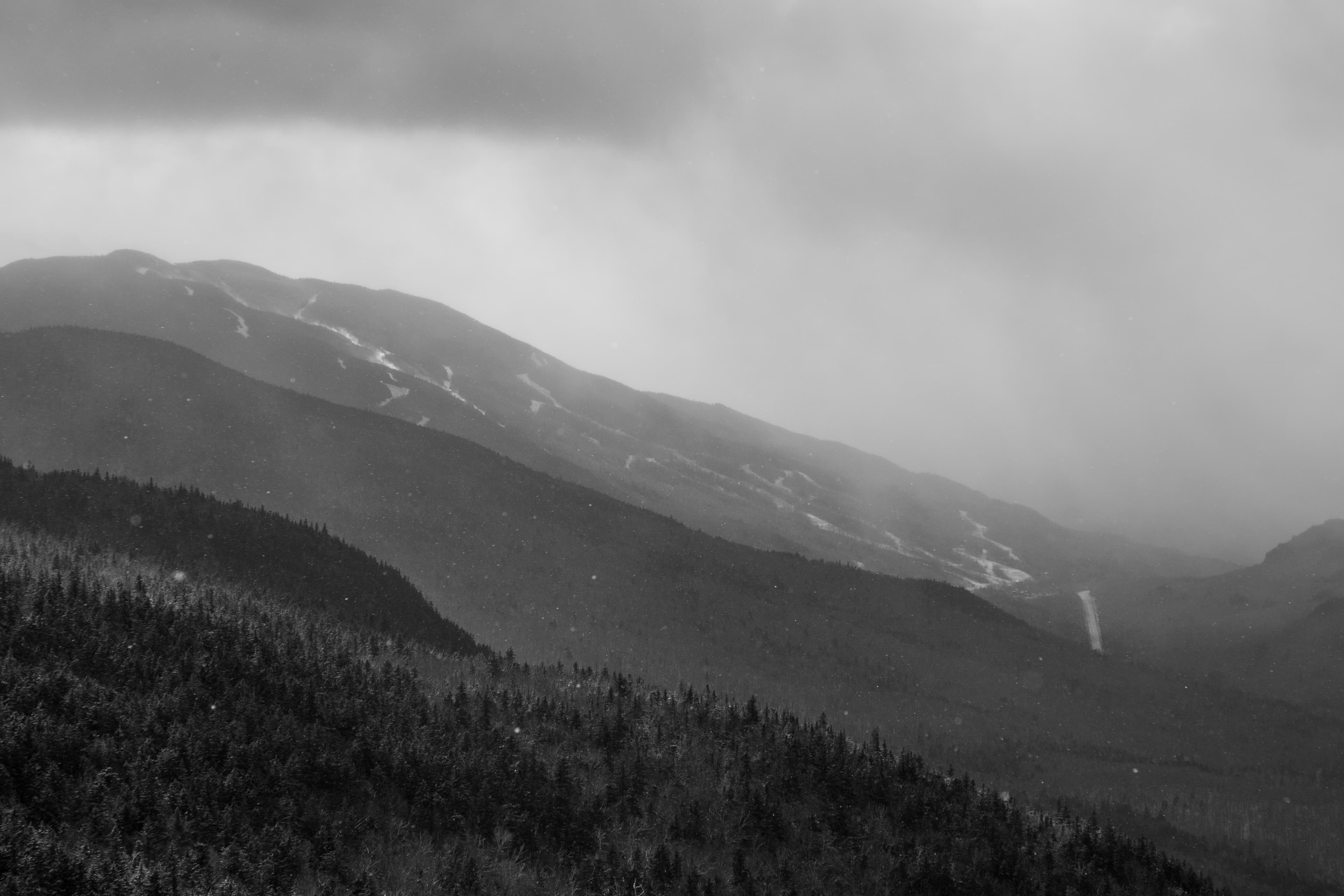 Trail 6