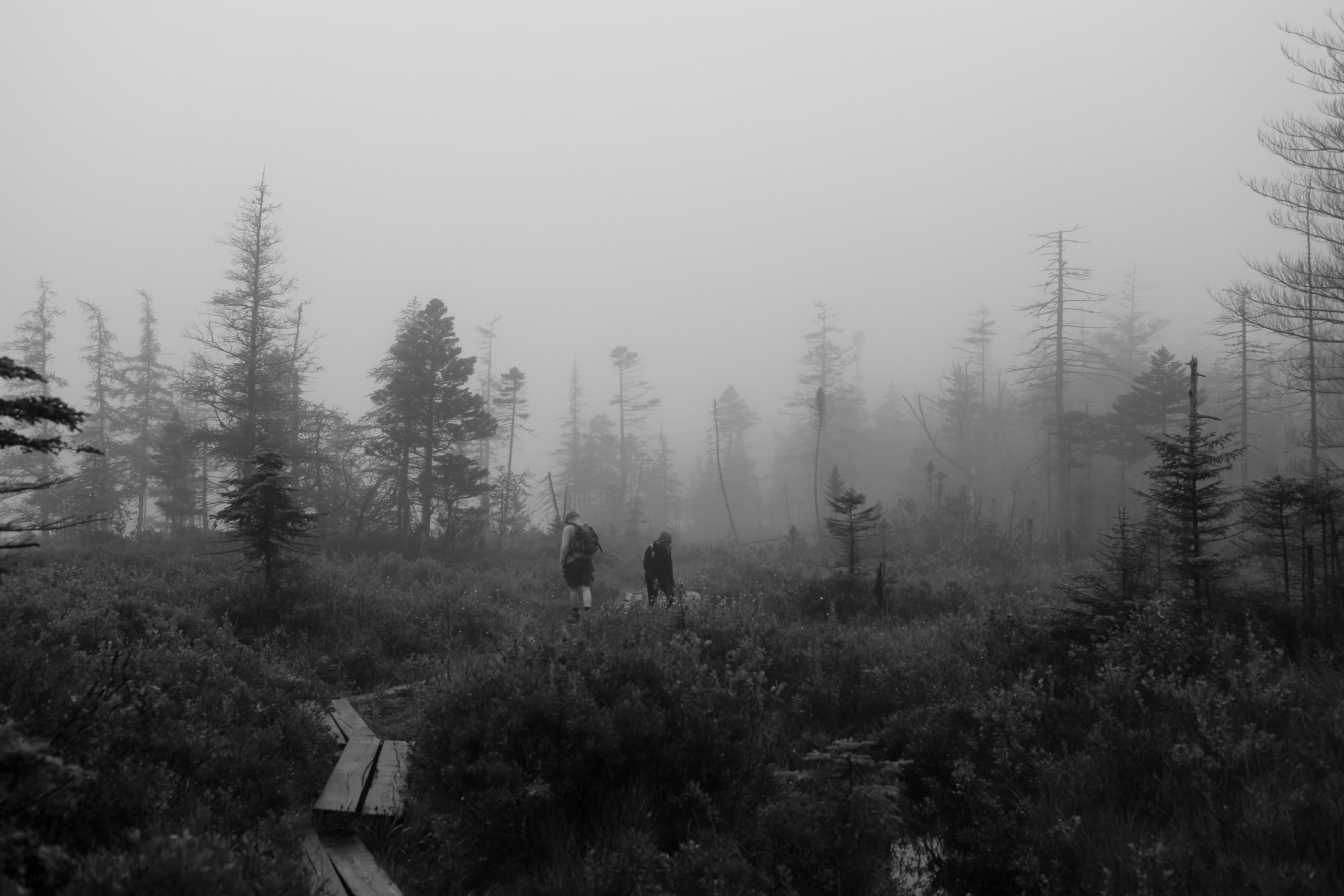 Trail 8