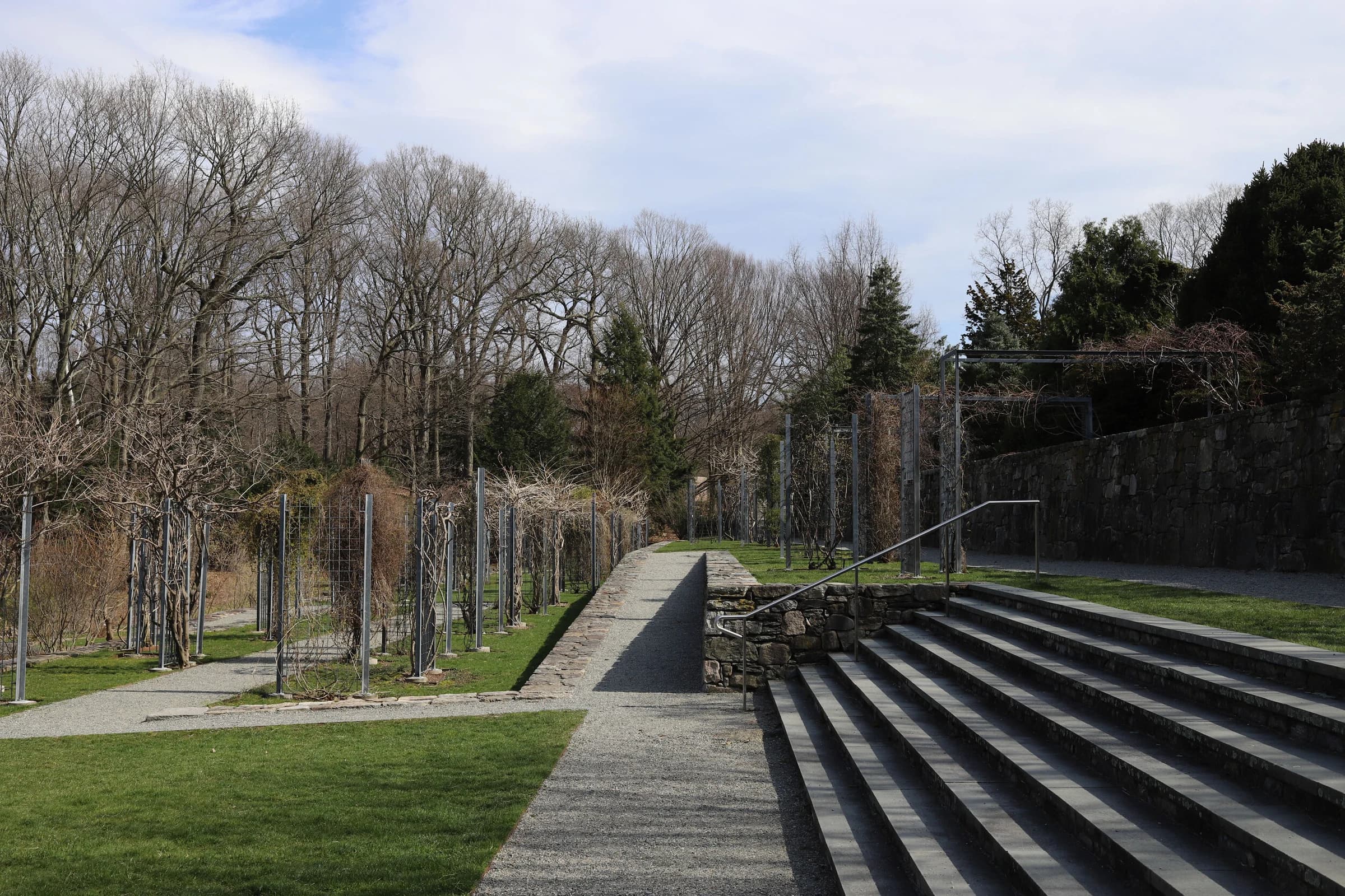 Arnold Arboretum of Harvard University - Leventritt Vine Garden