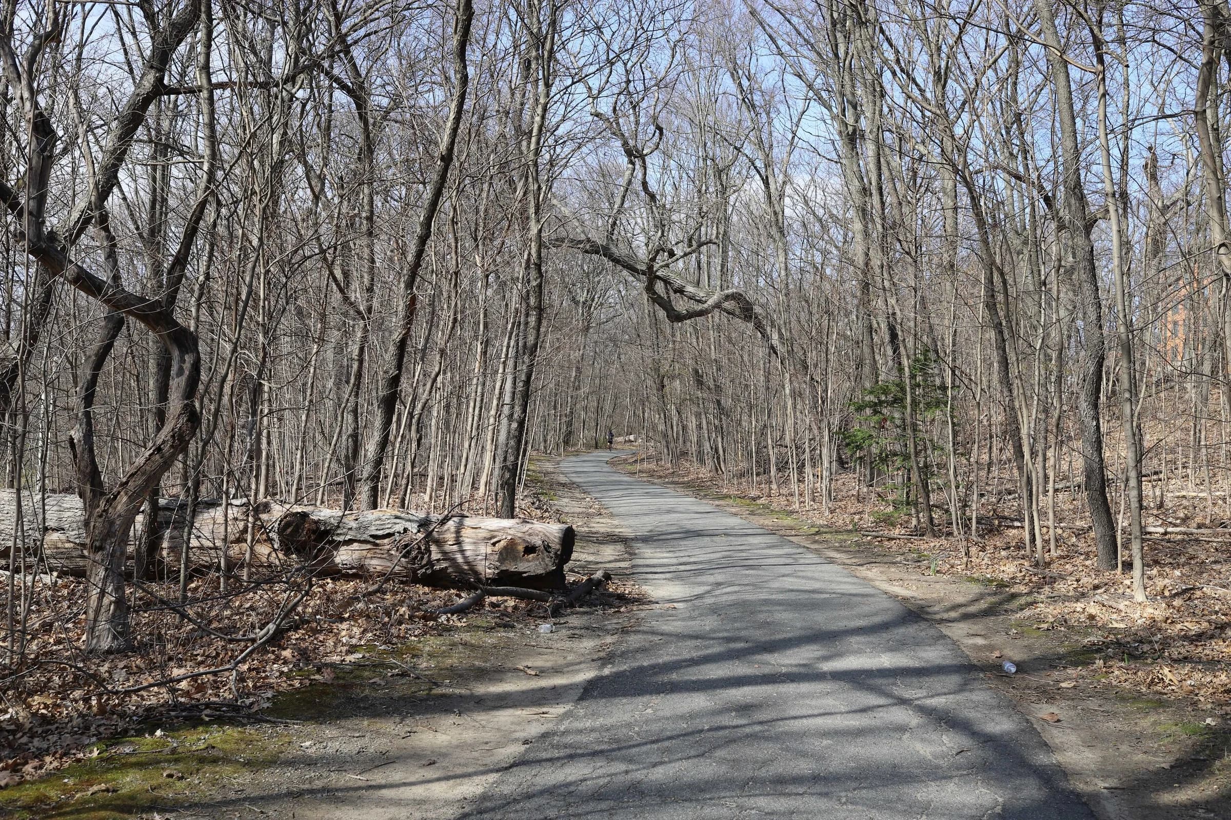 Olmsted Park Mixed-use path