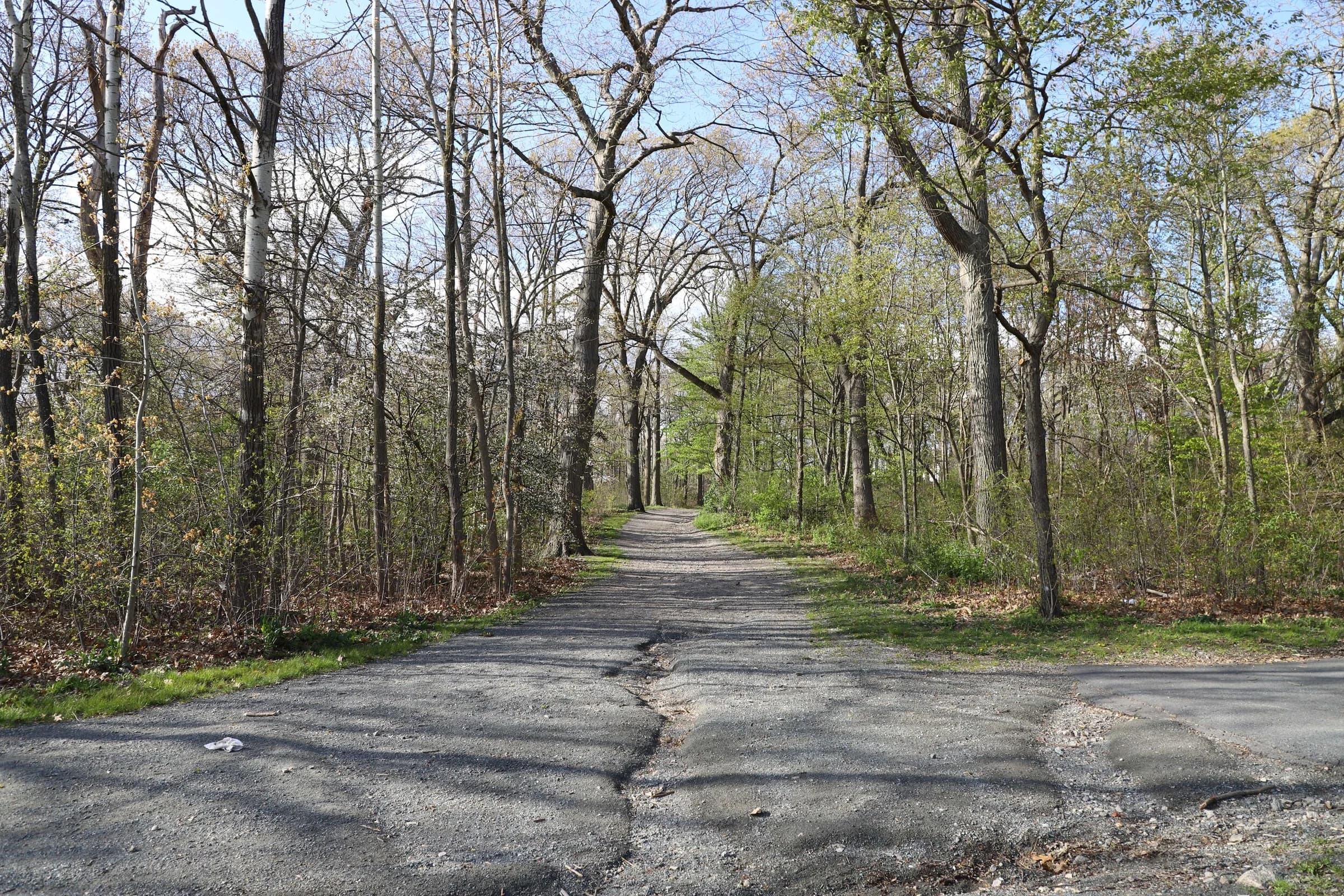 Central Franklin Park: Eroded Pathway