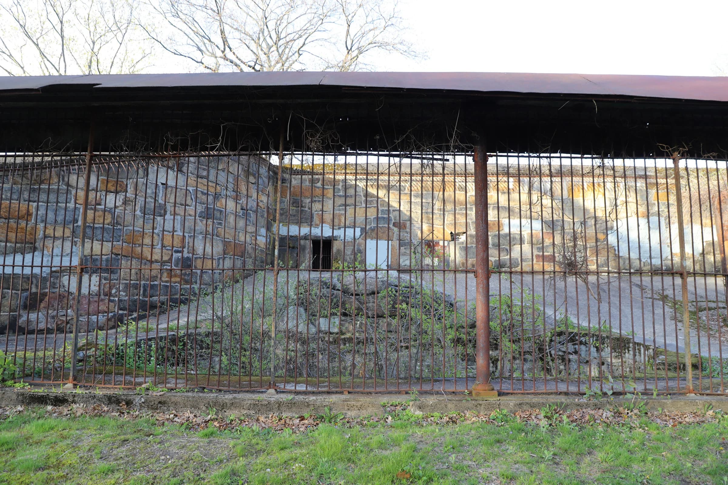 Northern Franklin Park: Abandoned Bear Dens
